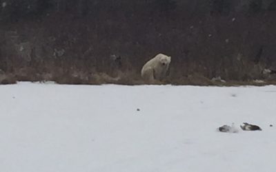 Thursday December 8, 2016