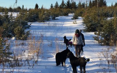 Wednesday December 28, 2016