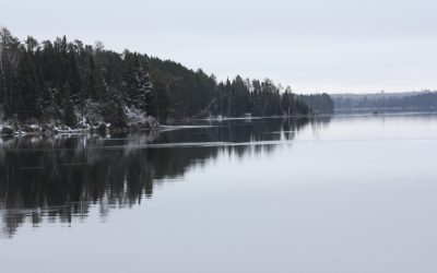 Friday December 2, 2016