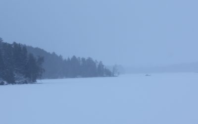 FridayDecember 9, 2016