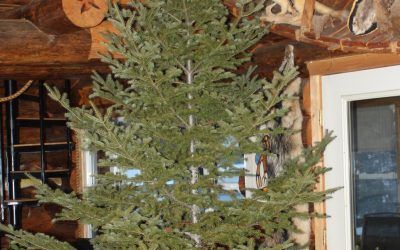 Monday December 12, 2016