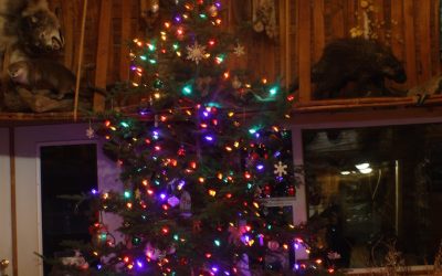 Friday December 16, 2016