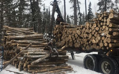 Thursday December 22, 2015