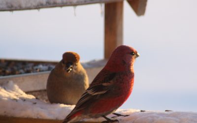 Saturday December 31, 2016