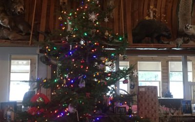 Sunday December 25, 2016