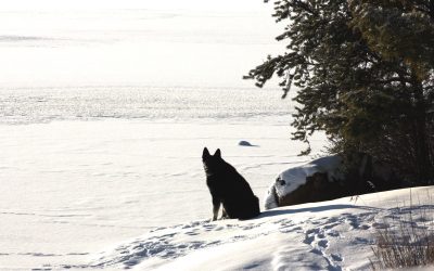 Saturday December 10, 2016