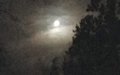 Wednesday December 14, 2016