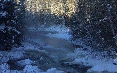 Sunday January 15, 2017