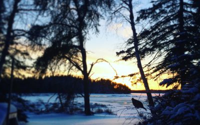 Tuesday January 10, 2017