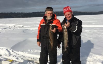 Saturday January 21, 2017