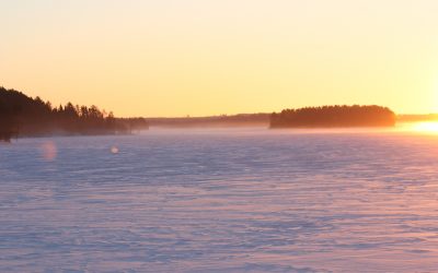 Friday January 13, 2017