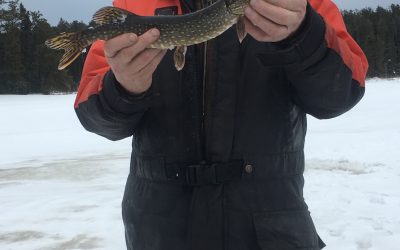 Wednesday January 25, 2017