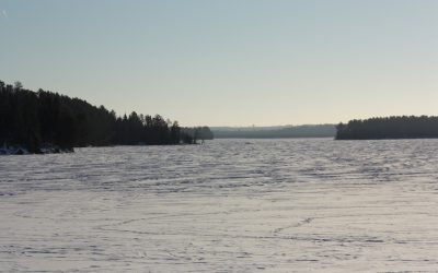 Saturday January 14, 2017