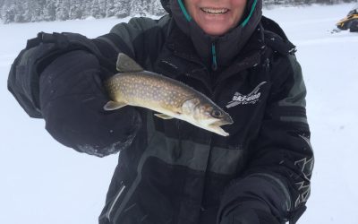 Wednesday January 4, 2016