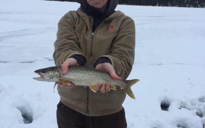 Sunday January 22, 2017