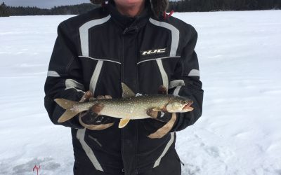 Monday January 30, 2017