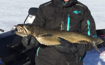 Sunday January 29, 2017