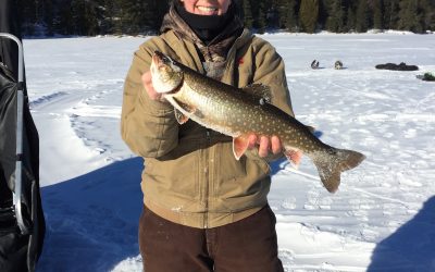 Tuesday January 31, 2017