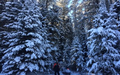 Sunday January 1, 2017