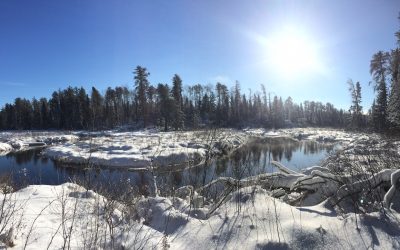 Wednesday January 11, 2016