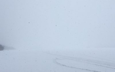 Saturday February 4, 2017