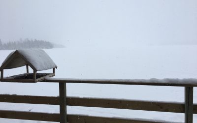 Tuesday February 7, 2017