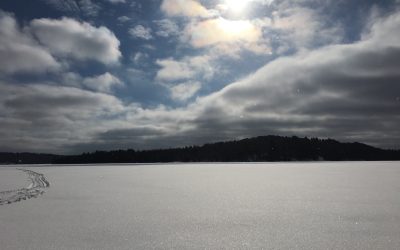 Monday February 13, 2017