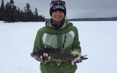 Wednesday February 15,2016