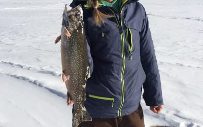 Wednesday February 1, 2017