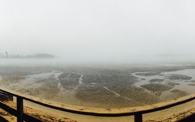 Saturday April 15, 2017