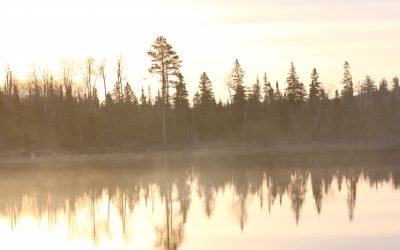 Saturday April 22, 2017