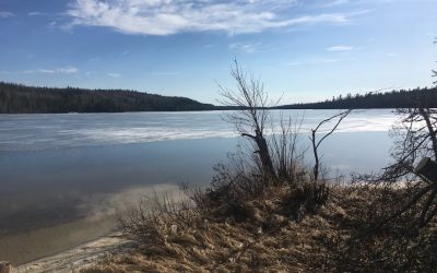 Wednesday April 12, 2017