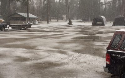 Tuesday April 25, 2017