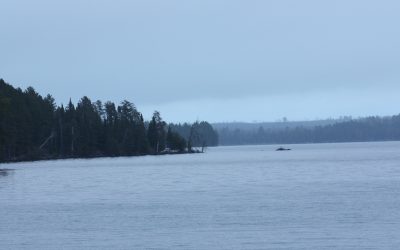 Saturday May 6, 2017