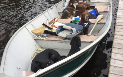 Wednesday May 10, 2017