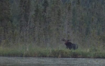 Wednesday July 19, 2017