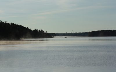 Wednesday August 2, 2017