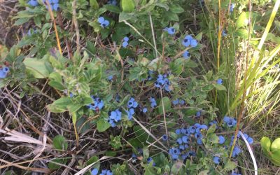 Saturday August 12, 2017