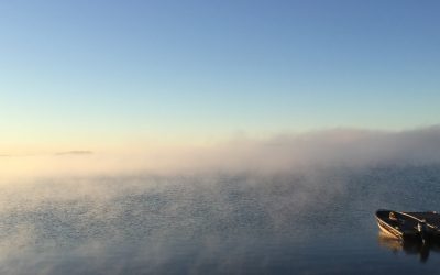 Friday August 11, 2017