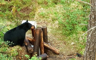 Monday September 18, 2017