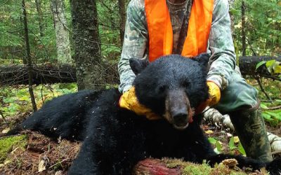 SundaySeptember 17, 2017