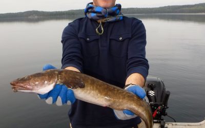 Saturday September 23, 2017