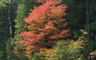 Monday September 25, 2017