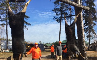 Wednesday October 18, 2017