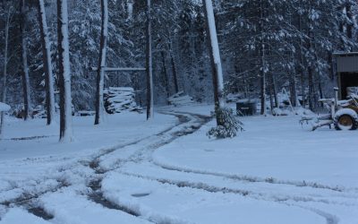 Friday October 27, 2017