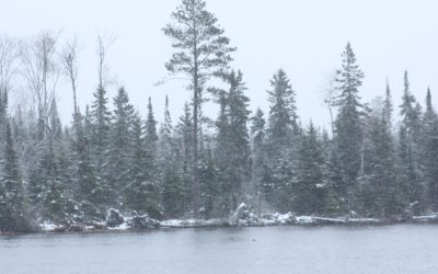 Monday October 30, 2017