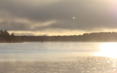 Tuesday October 31, 2017