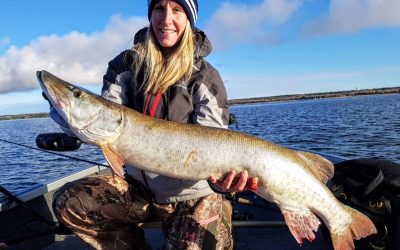 Monday October 6, 2017