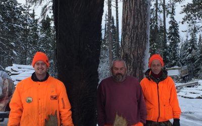 Thursday November 2, 2017