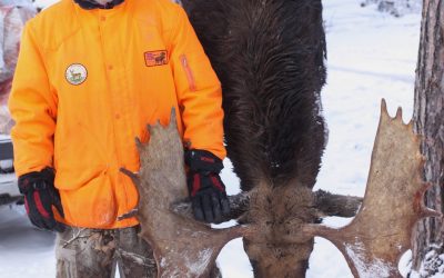 Wednesday November 1, 2017